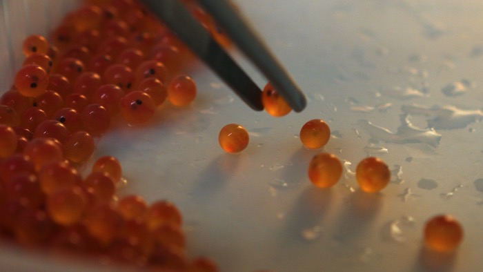 FOTO 5 NOVEDADES.jpg